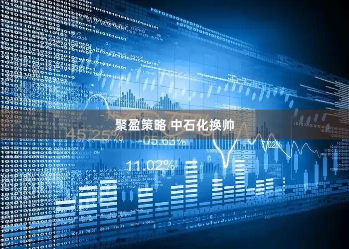 聚盈策略 中石化换帅