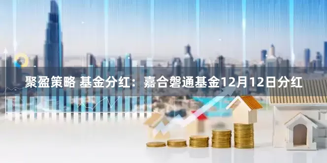 聚盈策略 基金分红：嘉合磐通基金12月12日分红